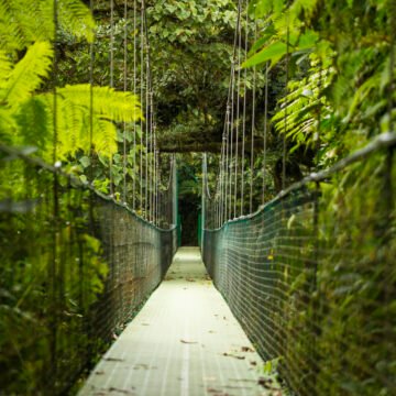 La transformación de los zoológicos en santuarios de vida silvestre: el cambio de Argentina