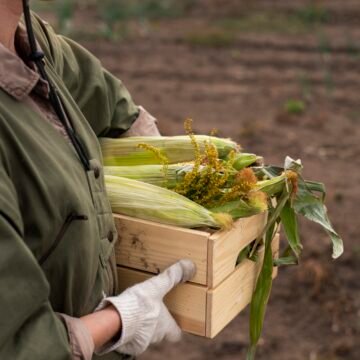 La Pampa: entre transgénicos, el despojo del agua y la agroecología como resistencia