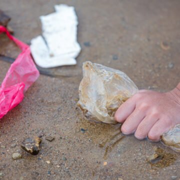 La problemática de la basura marina: impactos y soluciones