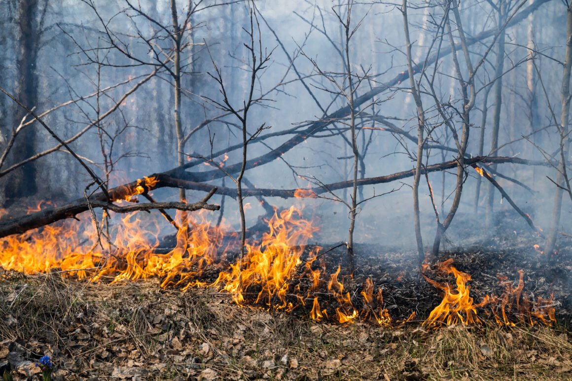 Unas 2300 hectáreas arrasadas: investigan si el incendio en Epuyén fue intencional