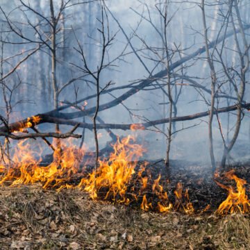 Unas 2300 hectáreas arrasadas: investigan si el incendio en Epuyén fue intencional