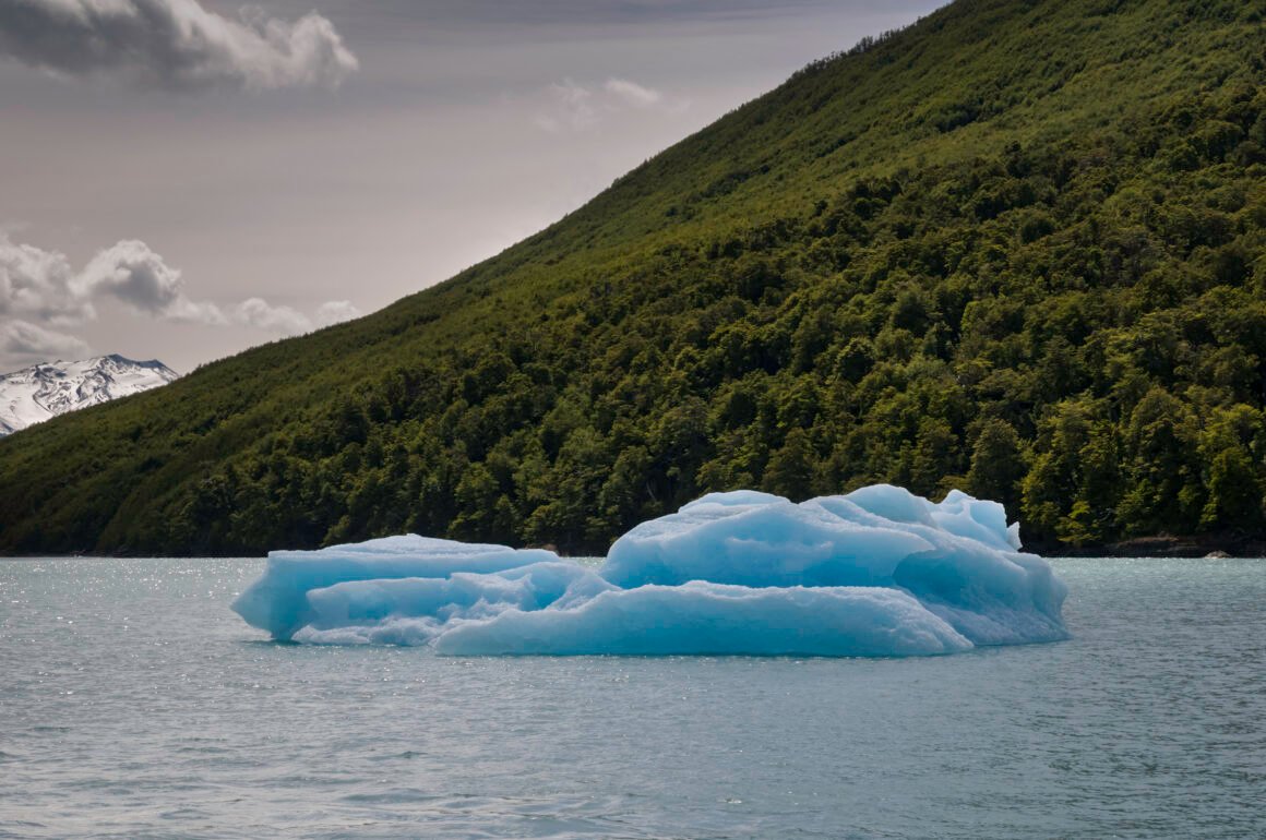 El iceberg A23a amenaza con chocar contra la isla Georgia del Sur: Un peligro para la fauna y la actividad humana
