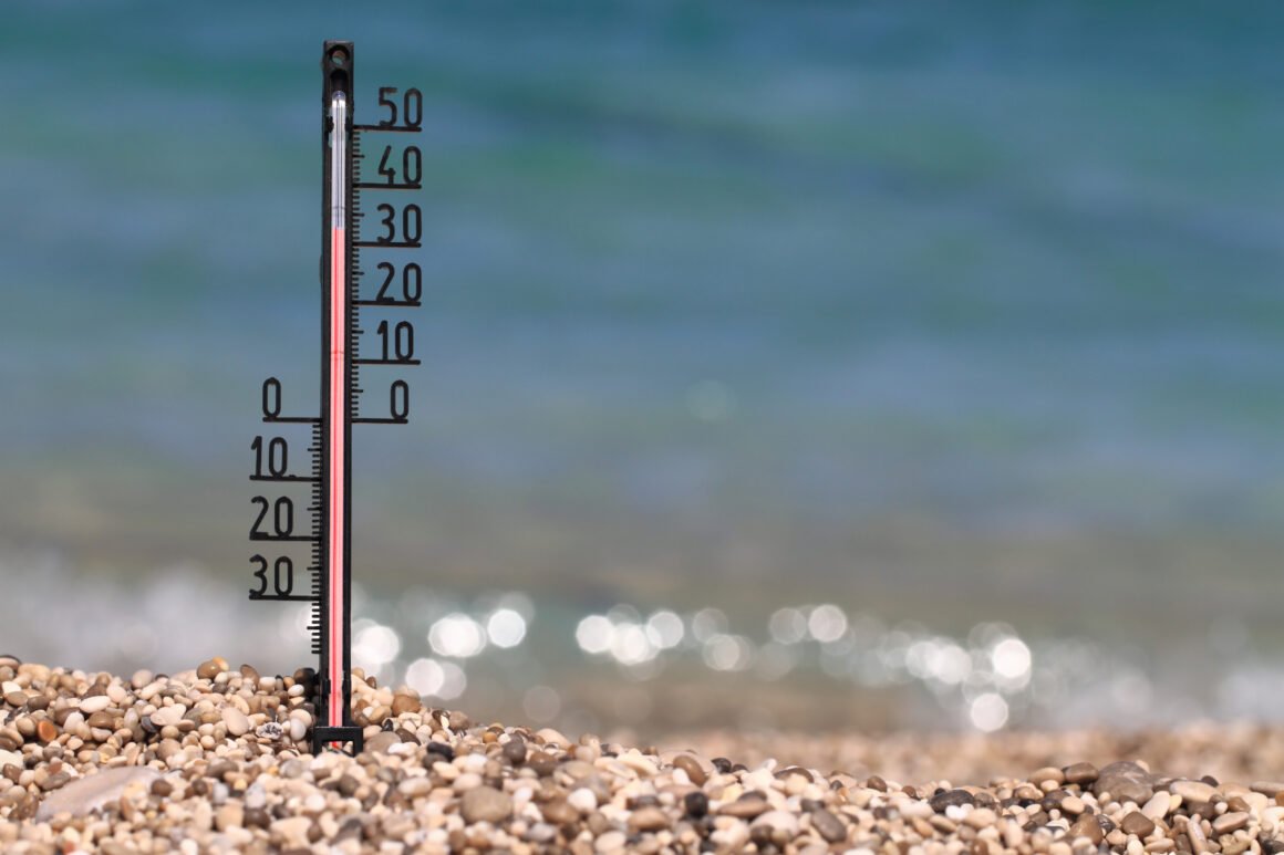 La ola de calor marina «La mancha» y su devastador impacto en la biodiversidad