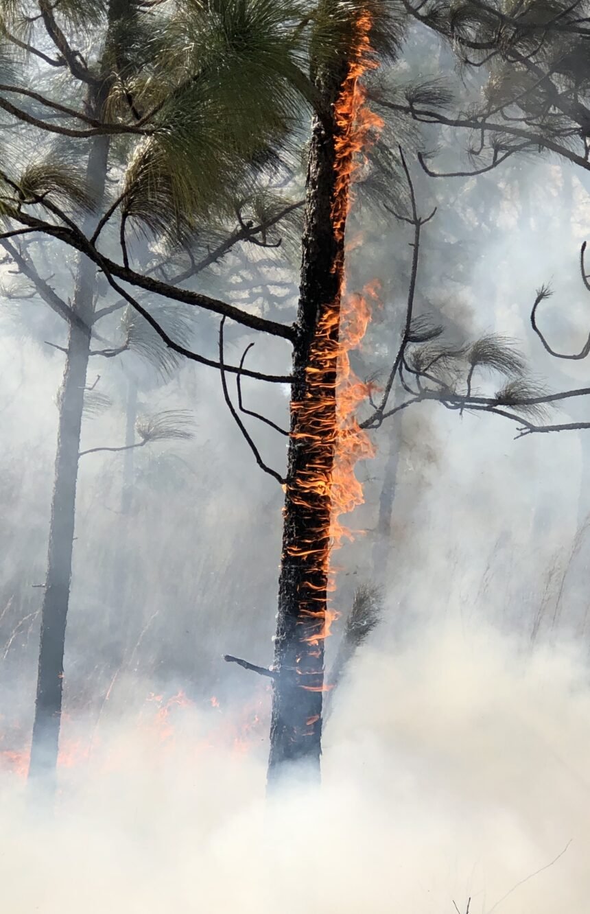 Incendio en Epuyén: un desastre sin precedentes en Chubut