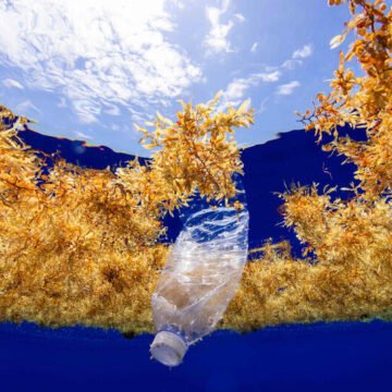 67 países impulsan tratado global para frenar la contaminación plástica antes de 2040