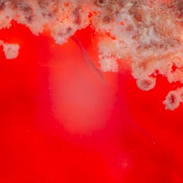 Arroyo Sarandí: análisis del agua contaminada y las denuncias sobre su coloración roja