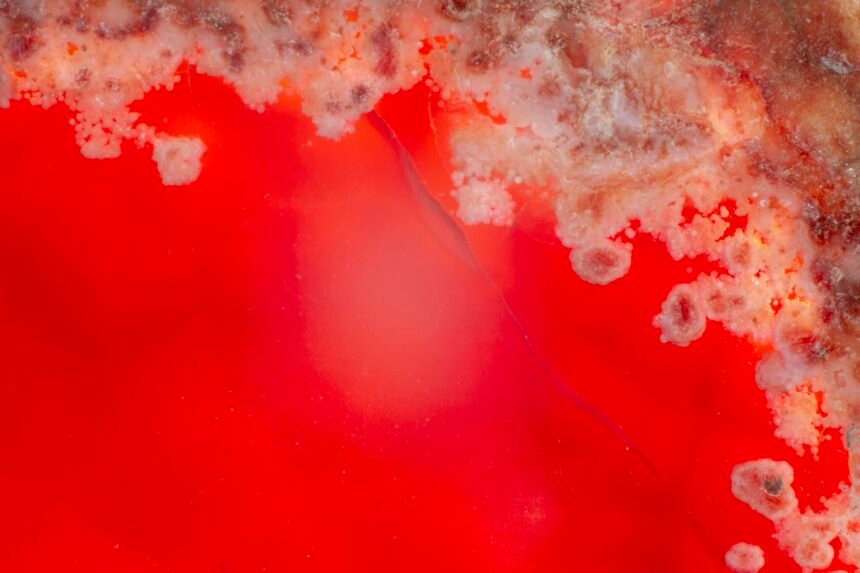 Arroyo Sarandí: análisis del agua contaminada y las denuncias sobre su coloración roja