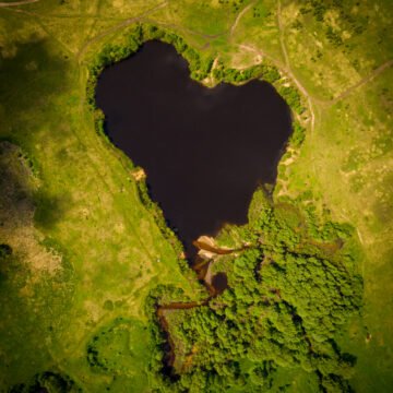 Los humedales y las formas en que estos ecosistemas sostienen la vida en el planeta