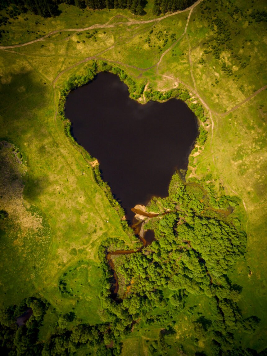Los humedales y las formas en que estos ecosistemas sostienen la vida en el planeta