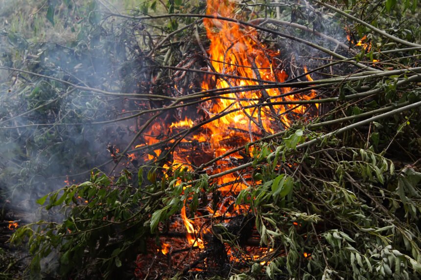 Incendios en el Parque Nacional Nahuel Huapi: un desafío continuo para la conservación