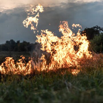 Los incendios en la Patagonia no se detienen: ¿cuántas hectáreas afectaron?