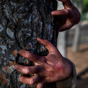 Greenpeace denuncia la ilegalidad de las nuevas leyes de bosques en Salta y Chaco