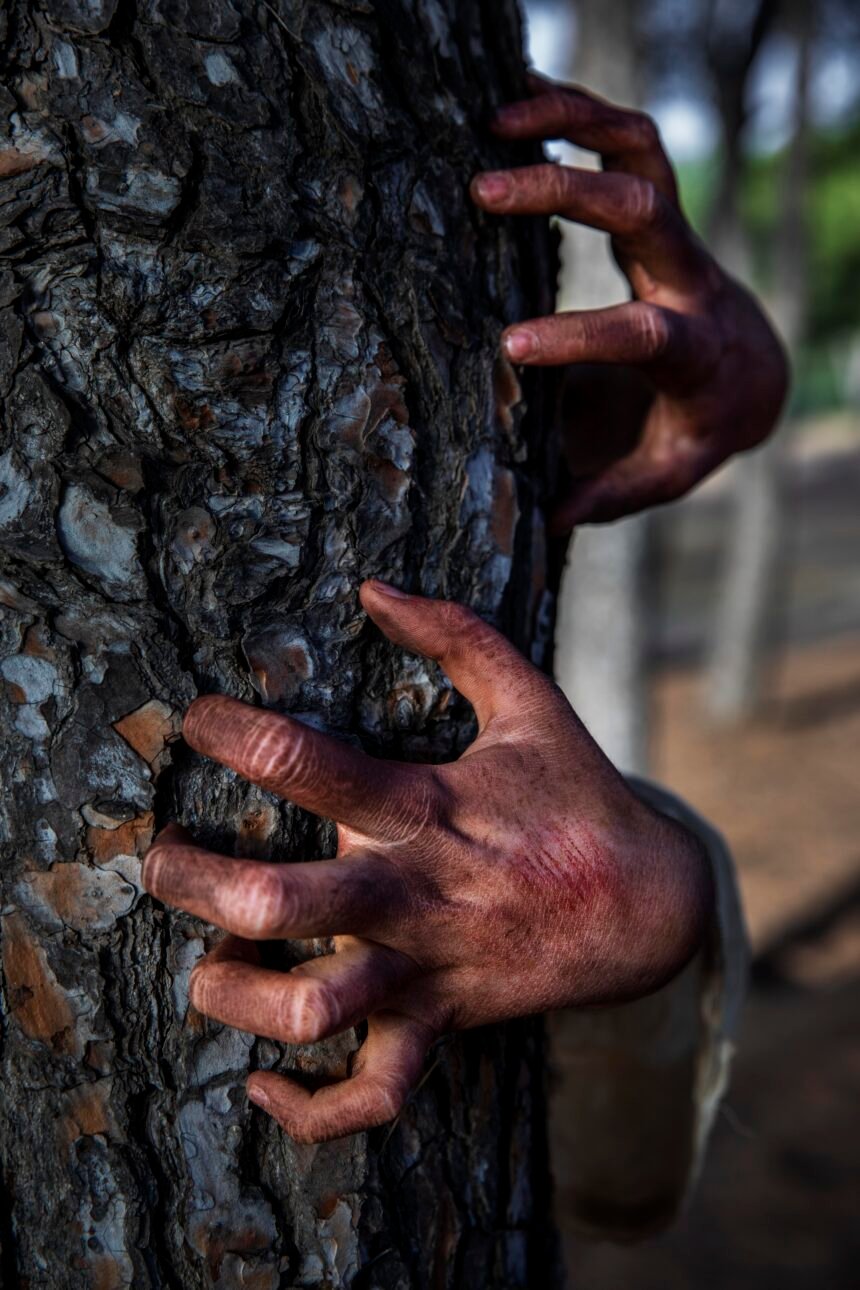 Greenpeace denuncia la ilegalidad de las nuevas leyes de bosques en Salta y Chaco