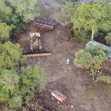 Detienen un nuevo desmonte ilegal en Chaco