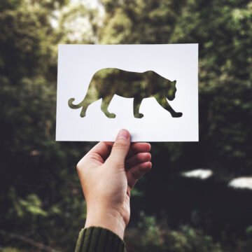 Persona sostiene un recorte en forma de puma sobre un fondo natural, simbolizando la relación entre la fauna silvestre y su hábitat en riesgo.
