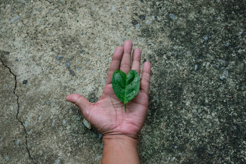 Mano extendida sobre el suelo sosteniendo una hoja verde con forma de corazón, simbolizando el compromiso con la protección del medioambiente.