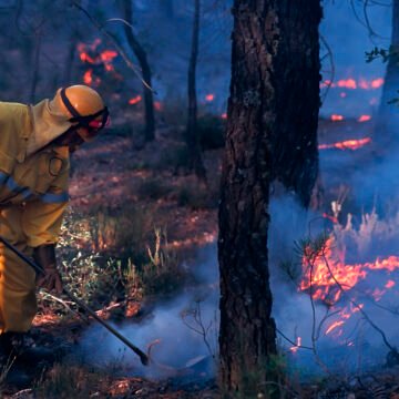 Bombero forestal trabajando en un incendio activo en un bosque, rodeado de humo y llamas entre árboles.