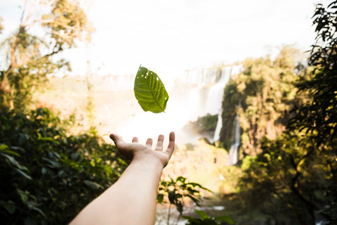 Mano extendida lanzando una hoja verde al aire en medio de un entorno selvático con cascadas al fondo, simbolizando la conexión entre el ser humano y la naturaleza.