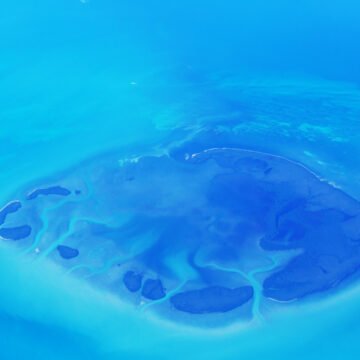 Vista aérea de una formación submarina circular en el océano, representando el ecosistema del Agujero Azul en el Atlántico Sur.