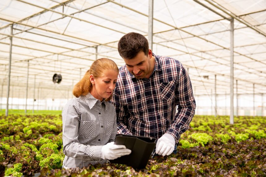Dos técnicos agrícolas revisan datos en una tableta en un invernadero de hortalizas, en el marco de prácticas de producción sostenible.