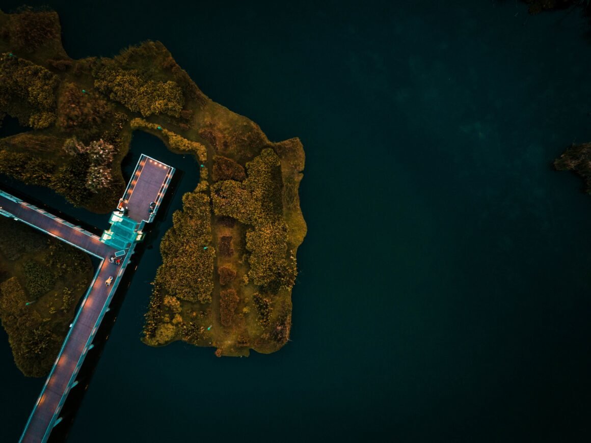Vista aérea de un muelle rodeado por vegetación insular y aguas profundas del océano Índico.