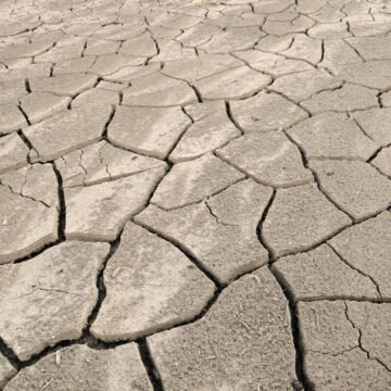 Para 2050, más de 10 países del mundo enfrentarán graves sequías Para 2050, más de 10 países del mundo enfrentarán graves sequías