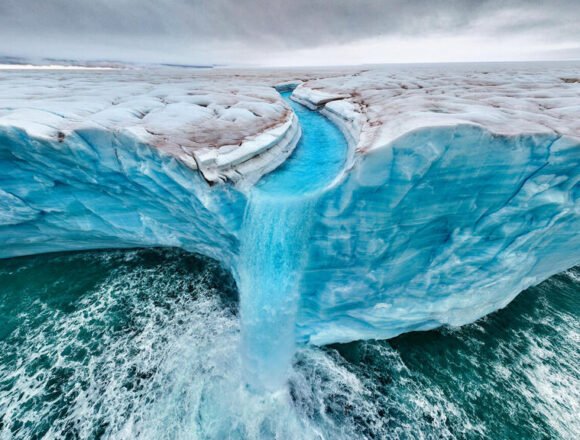  Glaciares en baja, el impacto invisible que altera la biodiversidad del hielo