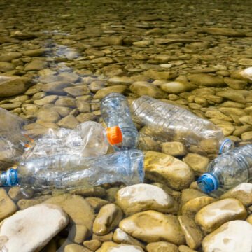 Greenpeace advierte sobre la contaminación con plásticos en los ríos de Argentina: «Los cauces de agua se están transformando en vertederos al aire libre» Greenpeace advierte sobre la contaminación con plásticos en los ríos de Argentina: «Los cauces de agua se están transformando en vertederos al aire libre»