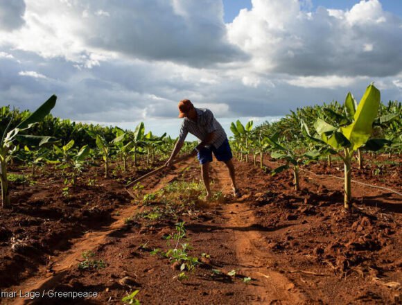 Paradoja alimentaria: comida desperdiciada, hambre persistente y contaminación