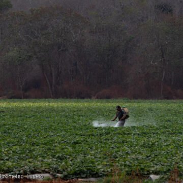 Explosión en Ezeiza y el riesgo de los agrotóxicos que vuelve a quedar expuesto