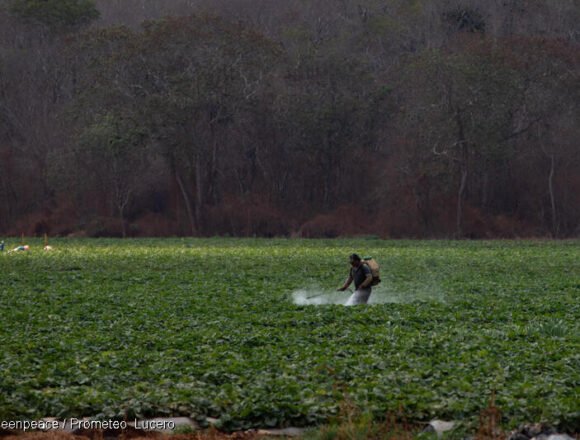 Explosión en Ezeiza y el riesgo de los agrotóxicos que vuelve a quedar expuesto
