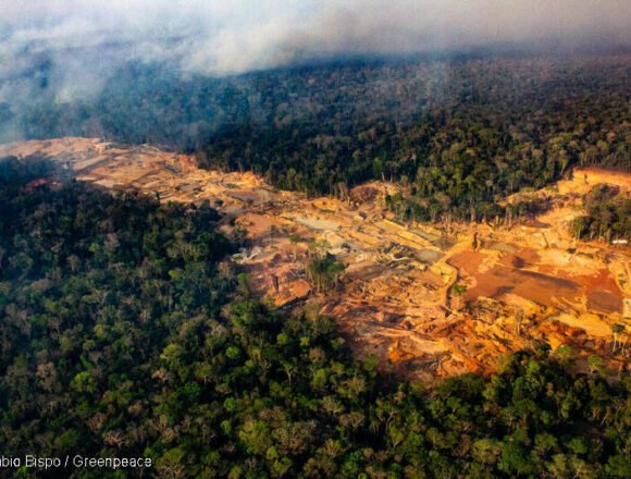 Contra la deforestación: 8 de cada 10 argentinos espera más del gobierno
