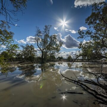 Martín Mendizábal: el activista que logró que el Paraná fuera un asunto de carácter nacional Martín Mendizábal: el activista que logró que el Paraná fuera un asunto de carácter nacional