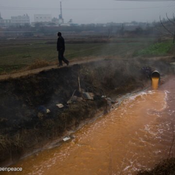 La contaminación de Atanor en San Nicolás persiste a pesar del cierre La contaminación de Atanor en San Nicolás persiste a pesar del cierre