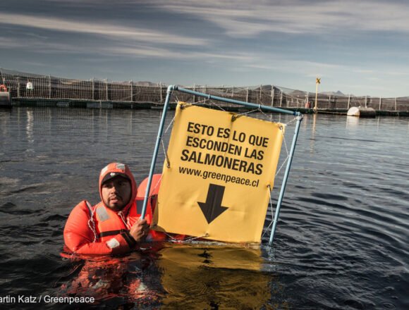 Desastre ambiental: buscan derogar la Ley de Salmoneras en Tierra del Fuego Desastre ambiental: buscan derogar la Ley de Salmoneras en Tierra del Fuego