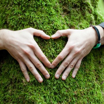 Valores en la Naturaleza