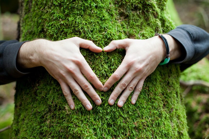 Valores en la Naturaleza