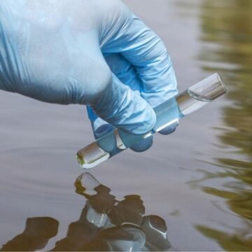 Riesgos de la contaminación ambiental: cómo se evalúan y regulan Riesgos de la contaminación ambiental: cómo se evalúan y regulan