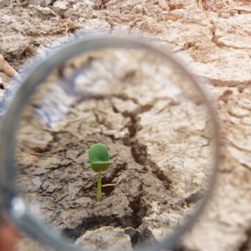 IMPACTO AMBIENTAL.DEFINICION DEL PROBLEMA