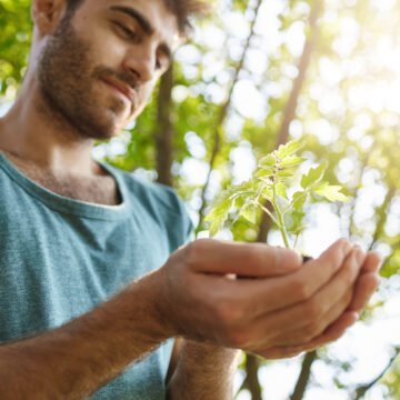 CALIDAD DE VIDA E IMPACTO AMBIENTAL