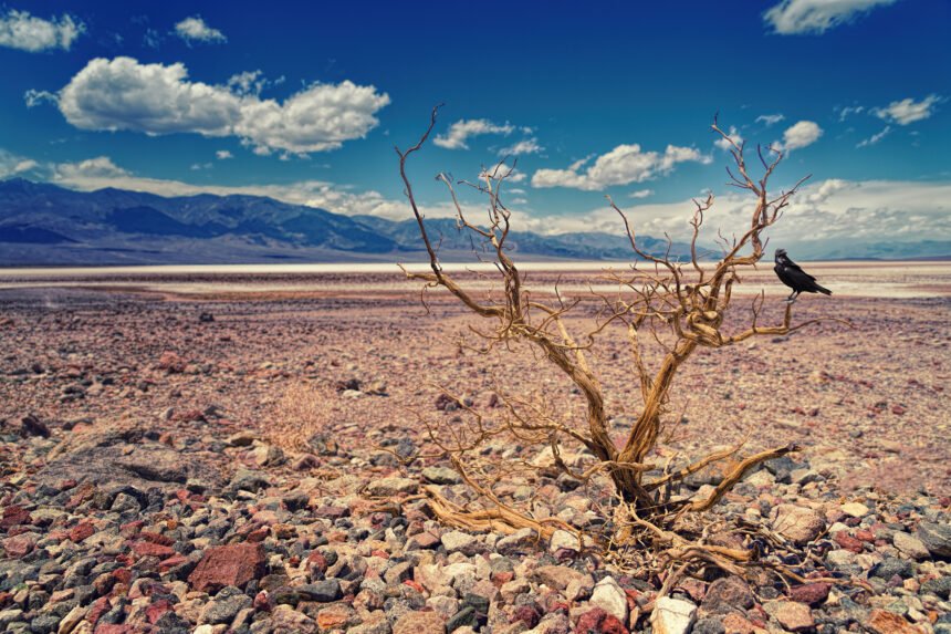 LA PAMPA Y LA HISTORIA DE LA PERDIDA DE SU ECOSISTEMA LA PAMPA Y LA HISTORIA DE LA PERDIDA DE SU ECOSISTEMA