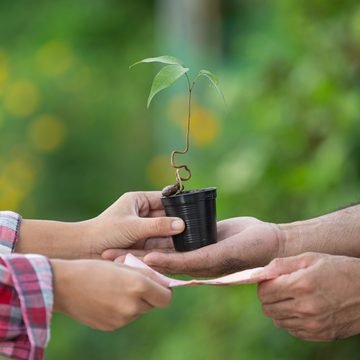 ¿MEDIO O FIN? Y EL CUIDADO DE LOS RECURSOS AMBIENTALES ¿MEDIO O FIN? Y EL CUIDADO DE LOS RECURSOS AMBIENTALES