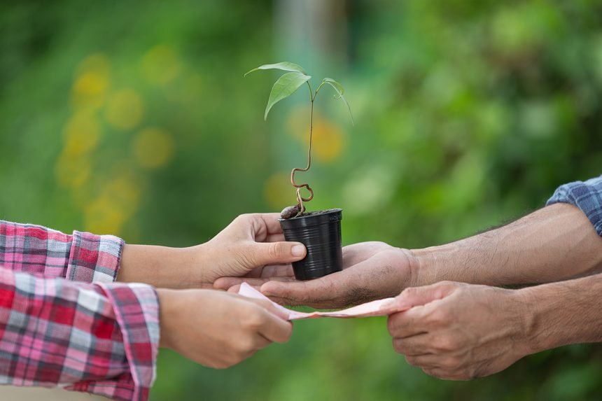 ¿MEDIO O FIN? Y EL CUIDADO DE LOS RECURSOS AMBIENTALES ¿MEDIO O FIN? Y EL CUIDADO DE LOS RECURSOS AMBIENTALES