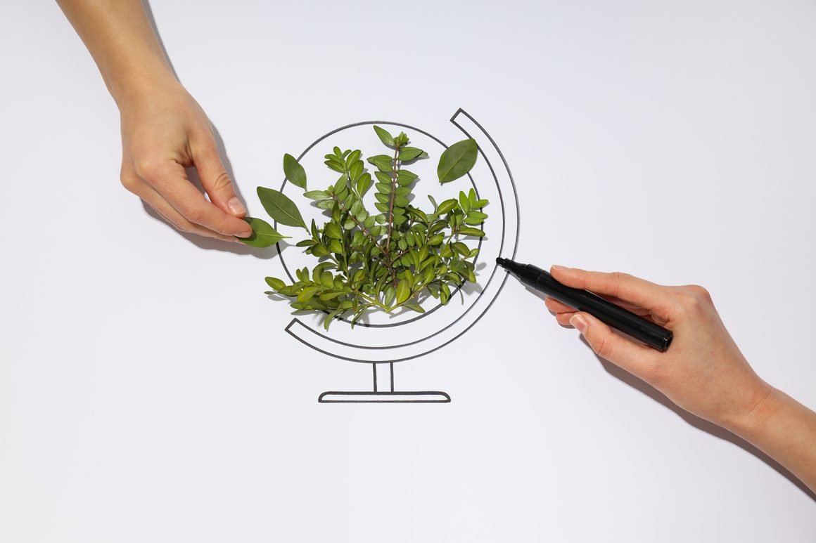 Los incentivos económicos de las empresas que dañan el medio ambiente Los incentivos económicos de las empresas que dañan el medio ambiente