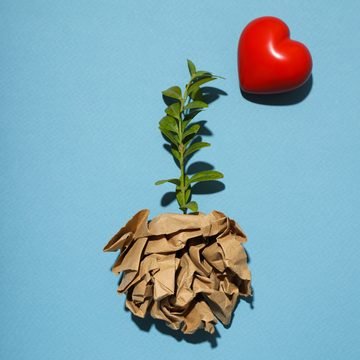 Prosperidad sin crecimiento y el cuidado ambiental Prosperidad sin crecimiento y el cuidado ambiental