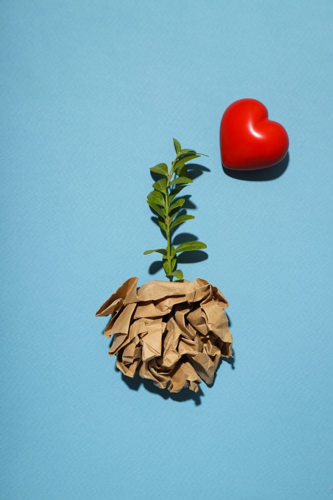 Prosperidad sin crecimiento y el cuidado ambiental