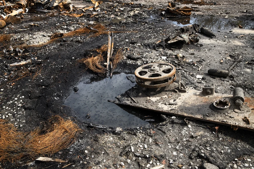 UFIMA: investigación de delitos ambientales en Argentina